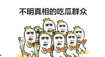 吃瓜群众还可以怎么说,网络时代的围观者众生相