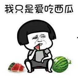 娱乐吃瓜的句子